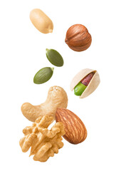 Poster - Peeled peanut, hazelnut, green pumpkin seeds, pistachio, cashew, walnut and almond isolated on white background