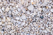 texture of white stones on the shore of the beach
