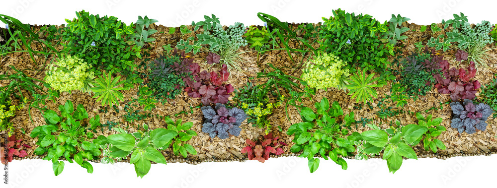 Boîte à Spécimens En Bois Avec Couvercle Transparent - Pour Insectes, Plantes, Collection - Présentation Et Protection
