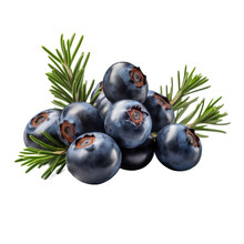 Juniper Berries Isolated On Transparent Background. Generative AI