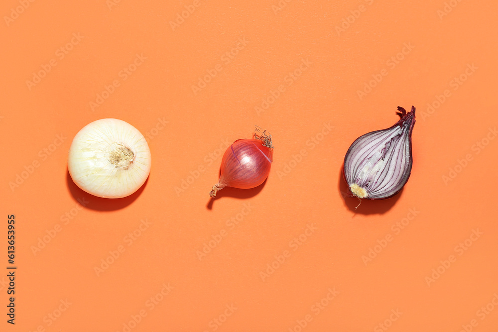 Different kinds of onion on orange background