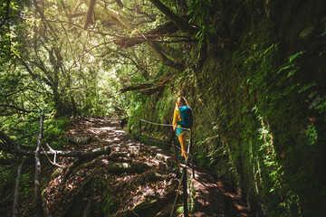 Wall Mural - Tourist woman walking along jungle hiking trail  next to canal through Madeiran rainforest. Levada of Caldeirão Verde, Madeira Island, Portugal, Europe.