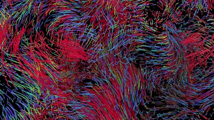 Canvas Print - particle fx1049: curly swirly particle trails.