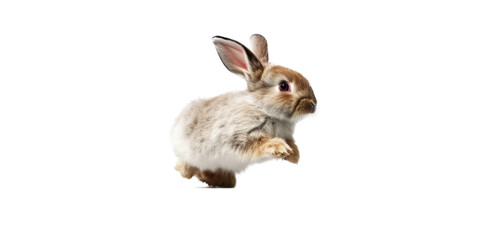 Canvas Print - an adorable cottontail bunny rabbit in a spring-themed illustration, isolated, running, jumping, and bouncing, a spring-themed illustration on a transparent background in PNG format. Generative AI 