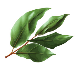 Fresh green leaves on a tree branch vector