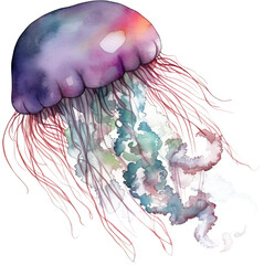 Poster - Jellyfish watercolor png