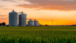 grain silos in the field in the green field with evening sunset