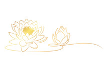 Lotus Flowers Line Art Style. Element Vector Eps 10