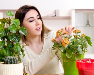 Wall Mural - Young female gardener with plants indoors