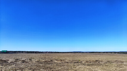 Wall Mural - blue sky and clouds