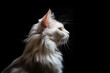 Portrait Of Cat American Curl In Profile On Black Matte Background. Empty Space. Generative AI