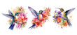 Watercolor Floral Hummingbird. Generative AI