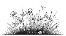 Field Of Wild Flowers Sketch , Hand Drawn In Doodle Style Llustration