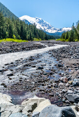 Wall Mural - White River Rapids 6