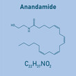 © SAMYA - Chemical structure of Anandamide (C22H37NO2). Chemical resources for teachers and students. Vector illustration isolated on white background.