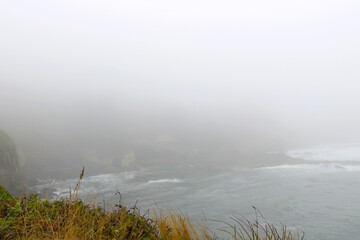 Wall Mural - A foggy cloudy morning on the Pacific coast.