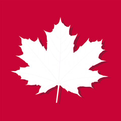 Wall Mural - maple leaf on red background. vector icon. symbol illustration