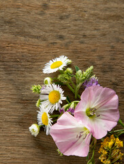 Wall Mural - Wild flowers on old grunge wooden background (Aster amellus, Buttercup, Lucerne, Cirsium, Trifolium, convolvulus)