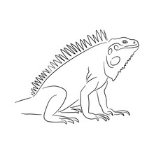 Silhouette Of A Iguana Made In Sketch Style. Vector Illustration.