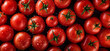 Jitomate rojo fresco,. orgánico, agricultura, alimentación y nutrición