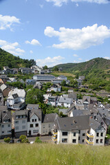 Wall Mural - Cochem