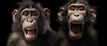 A Photorealistic Shot Of A Monkey Making Funny Faces And Gestures, Seemingly Imitating Human Expressions. Generative AI. 