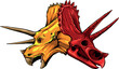 skull of triceratops dinosaur. vector illustration design