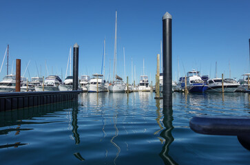 Sticker - Marina pilings reflected in blue water