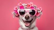 close up funny pet portrait, cute dog with flower crown and sunglasses, Generative Ai