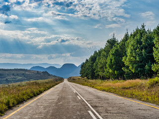 Poster - Road through pine tree forest and dramatic sky sun rays on panorama route, Mpumalanga, South Africa