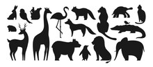Animal Silhouette Shape Set. Cute Parrot Squirrel, Frog, Giraffe. Panda And Bear Penguin. Mammals Animals Characters For Baby Design. Deer Cat Turtle Fox Lion Tiger Vector Shadow Jungle Collection