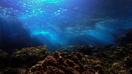 Wall Mural - Underwater photo of rays of sunligt over a coral reef