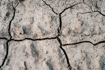 cracked earth texture. dry land. crack texture closeup.