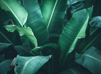 Wall Mural - Green banana leaf pattern. Generative AI