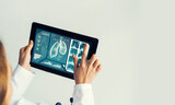 Fototapeta  - Close of female doctor hands working with tablet pc computer