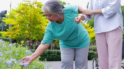 Wall Mural - Beautiful Asian daughter takes care of elderly mother in the park. They both smiled happily. Family concept. Elderly caregivers sit in wheelchairs. health care center.