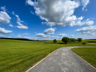 Wall Mural - A wonderful open-air park. sunny weather and light clouds in the sky create an amazing atmosphere. Beautiful sunny summer day