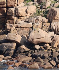 Wall Mural - rocks in the water at the pink granite coast