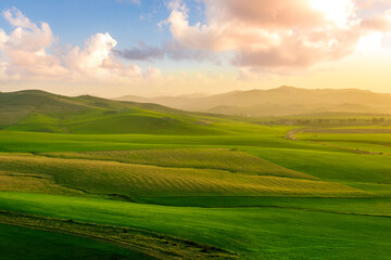 beautiful green valley with green fields with green spring grass with nive hills and mountains and scrnic colorful cloudy sunset on background of landscape