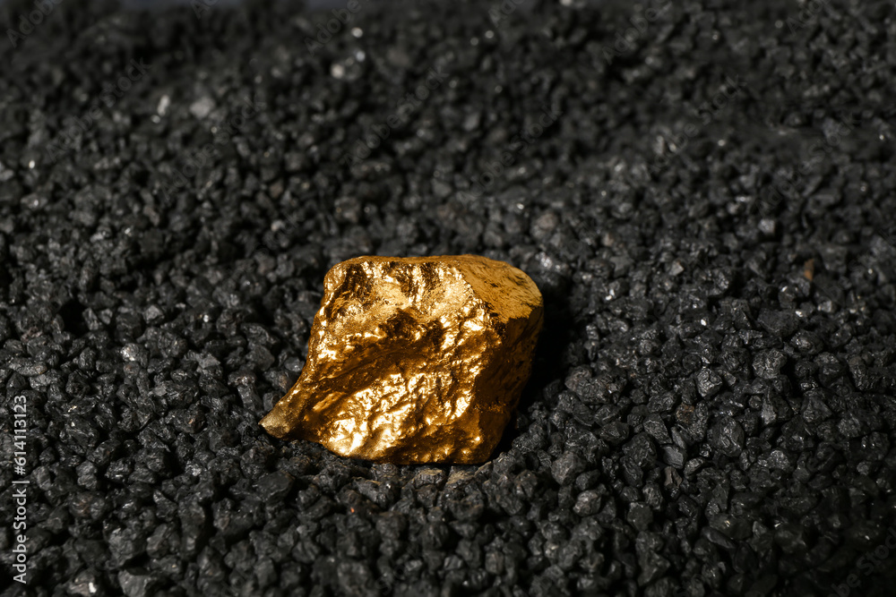 Golden nugget on black coal, closeup