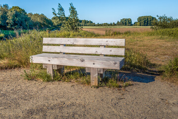 Poster - Massive wooden bench on the edge of a Dutch nature reserve. The photo was taken on a sunny spring day.