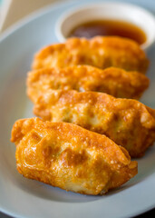 Wall Mural - Deep-fried gyoza in a plate on white background