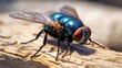 big fly picture. Generative AI
