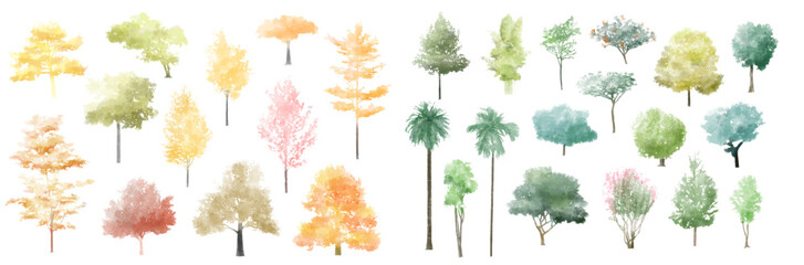 Poster - Tree watercolor, Side view green painting, set of graphics trees elements outline symbol for architecture and landscape design drawing. Vector illustration in stroke fill . Tropical, oak, maple, popla
