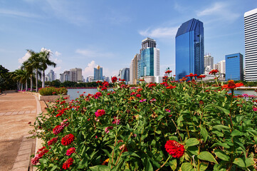 Wall Mural - Flowers in the City park with skyscrapers on the background. Bangkok Thailand.