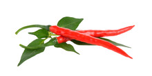 Chili With Leaf On Transparent Png