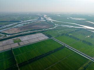 Wall Mural - Overlook of green rice fields, spacious road