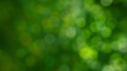 Wall Mural - Looped animated abstract background of a green natural bokeh