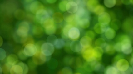 loopable abstract background of a green natural bokeh