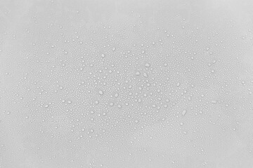 Poster - Water droplets on a gray background.